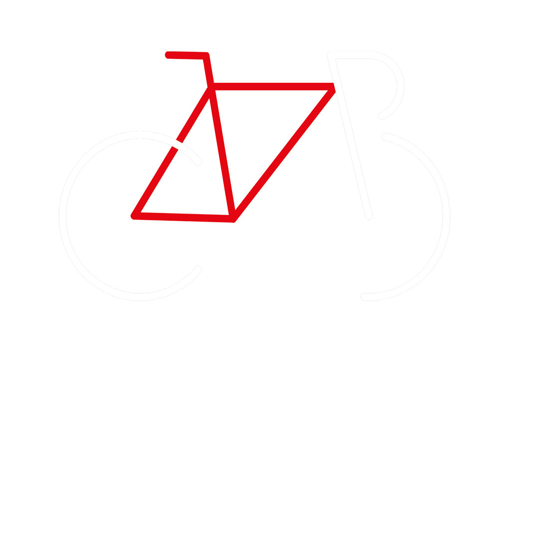 coursiers bordelais 
